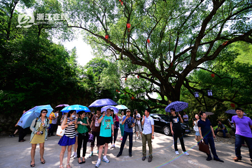 福地秀山龙攀凤，三伴三七合成单打一正确生肖,警惕虚假宣传-全面释义、解释与落实、精准解答解释落实
