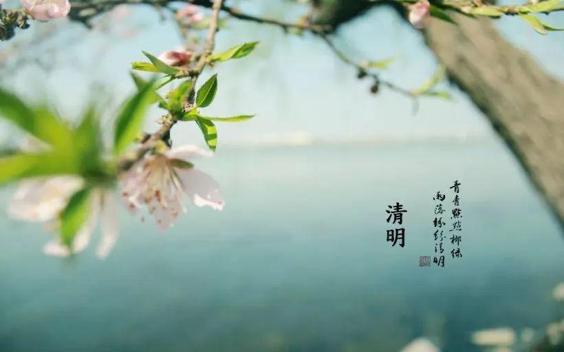 梨花落后二清明,三五少年容易老打一准确生肖仔细释义、解释与落实、定量解答解释落实