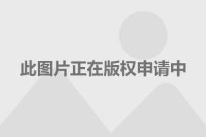 左顧右盼，東張西望。過目不忘有膽識打一生肖的警惕虚假宣传-全面释义、科学解答解释落实
