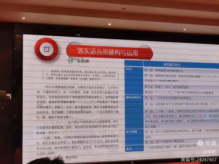 欲钱买娇小玲珑的动物是什么生肖与警惕虚假宣传-全面释义、构建解答解释落实